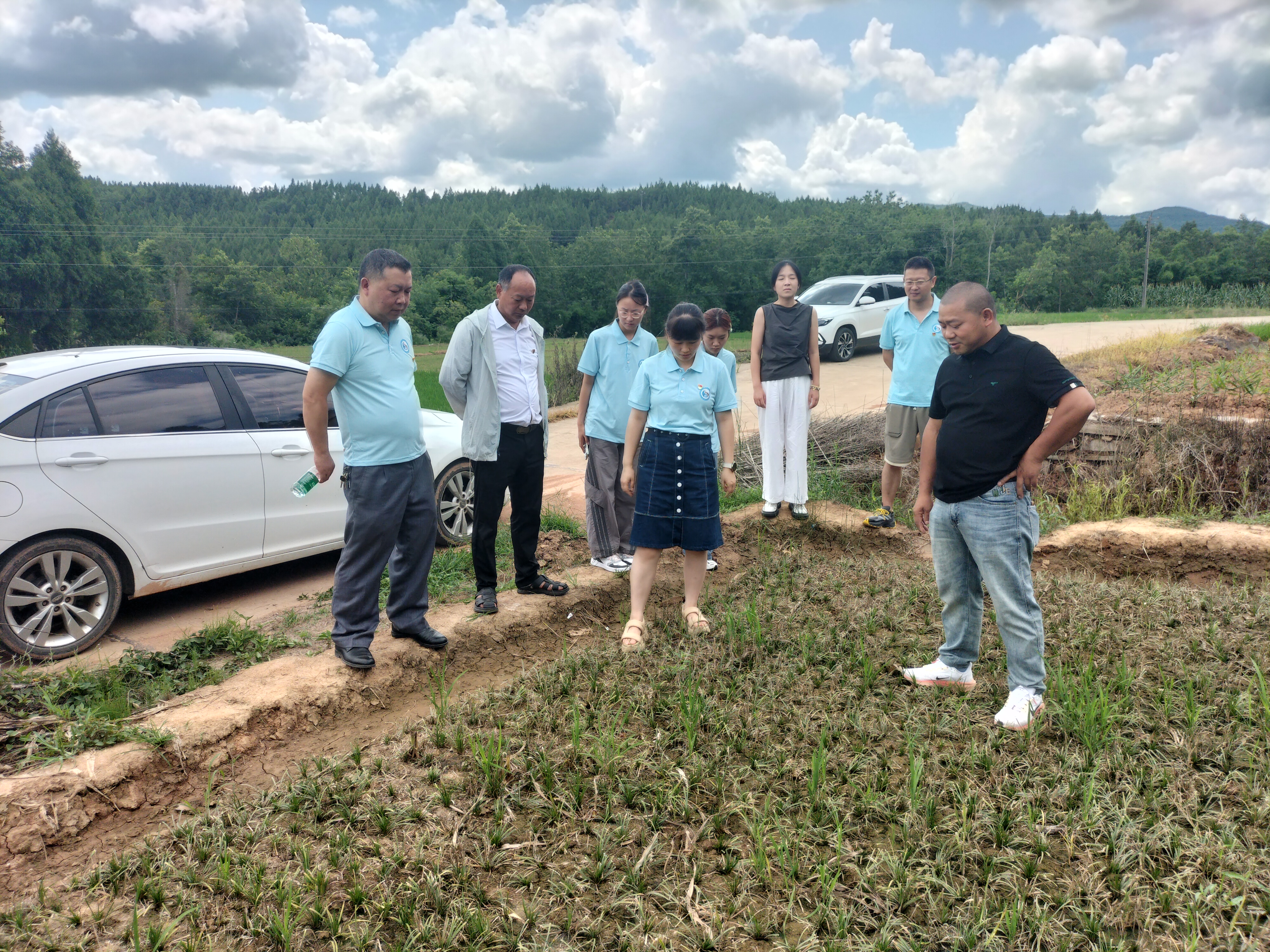 1939955408024031233.jpg 1939955408024031233.jpg